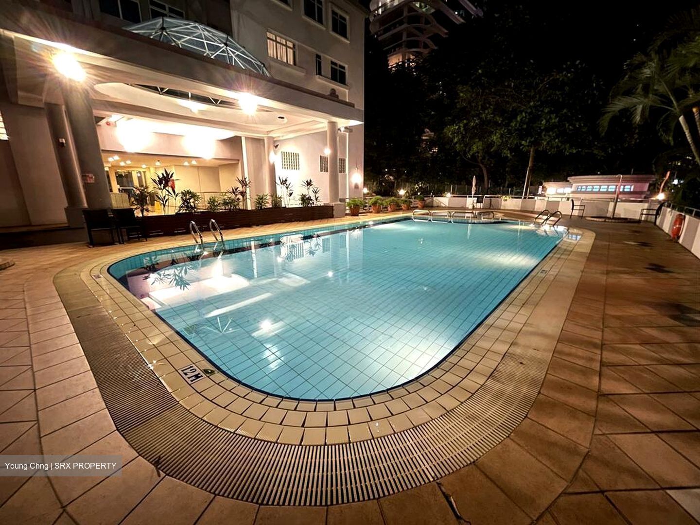 La Crystal (D9), Apartment #465687171